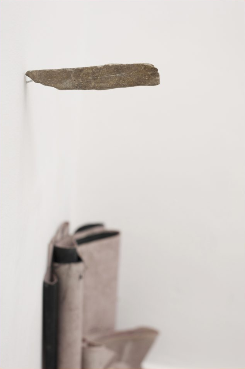 Schermata 2021-02-14 alle 11.35.30