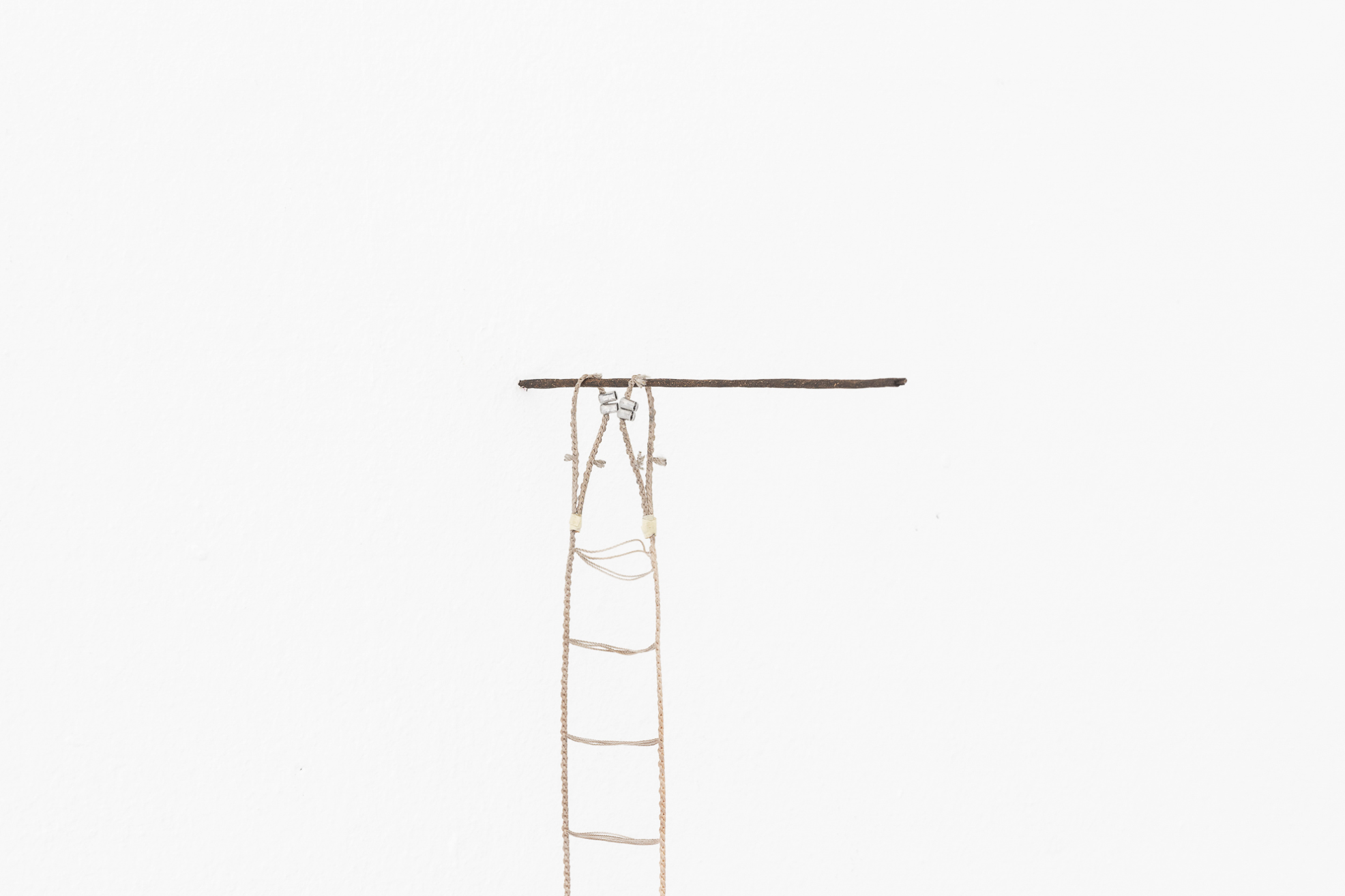 Schermata 2021-02-18 alle 11.31.46