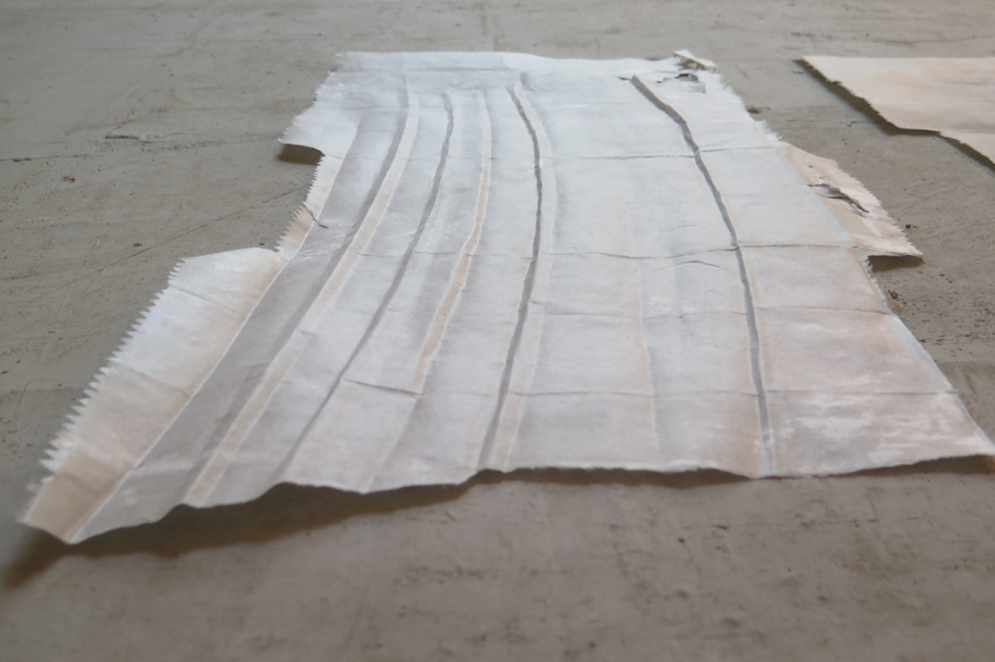 Schermata 2021-02-23 alle 11.00.32