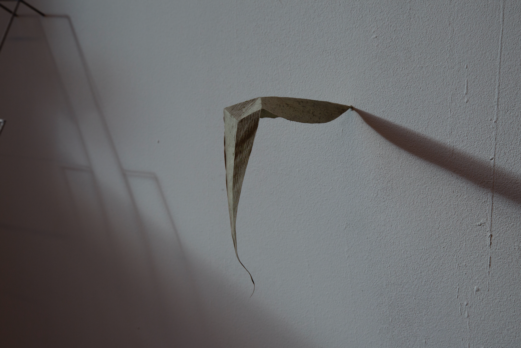 Schermata 2021-05-18 alle 11.51.45